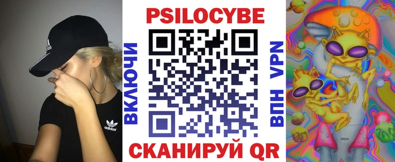 Галлюциногенные грибы Psilocybine cubensis  как найти   Рыбное 